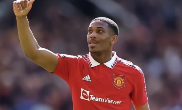 应变能力 应变能力